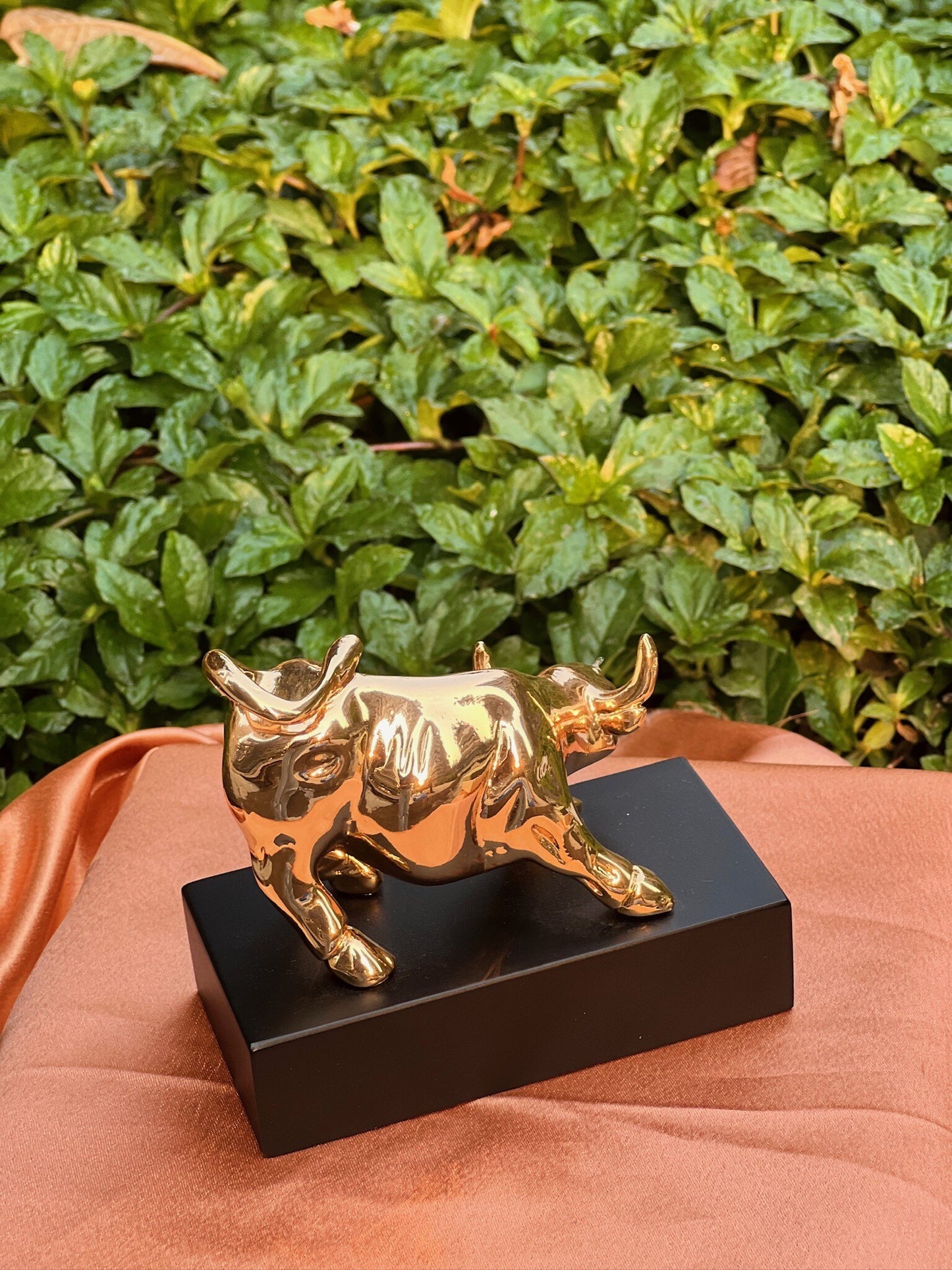 DESHANA Rose Gold Plated Resin-Based Luxurious BSE Bull